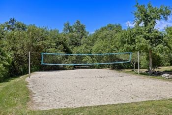 The volleyball court is located in front of the trees